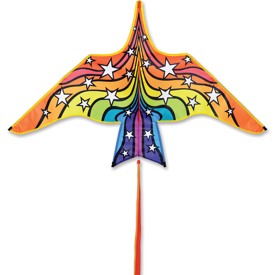 60 inch Thunderbird kite with rainbow starburst graphics, stable flight, compact size, and included line for colorful outdoor fun for all ages.