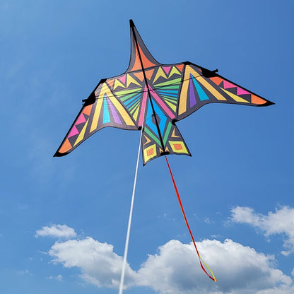 16 foot Thunderbird kite with bold rainbow geometric pattern, massive wingspan, strong flight, and line included for epic outdoor flying.