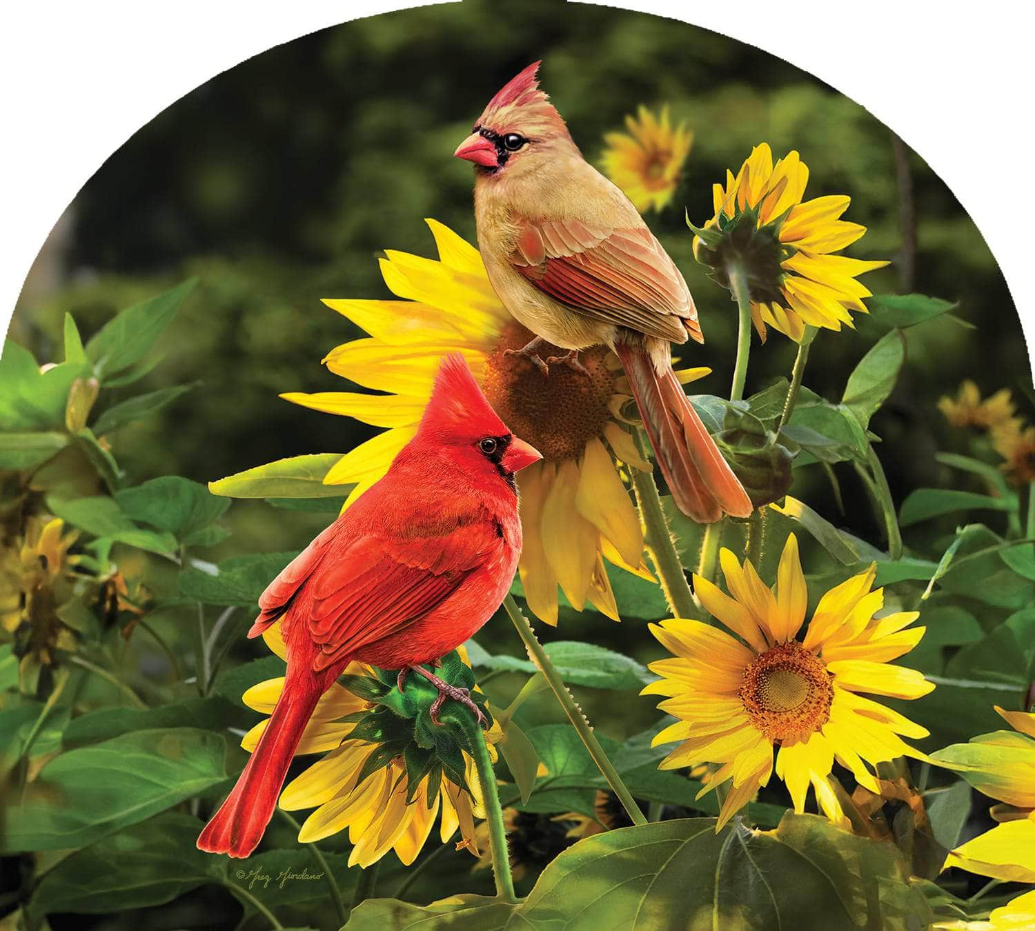 Cardinal Couple Arbor Mate 9.25" x 7.5" PVC panel, durable and weatherproof, perfectly fits the Arbor Mate Holder for charming outdoor décor.