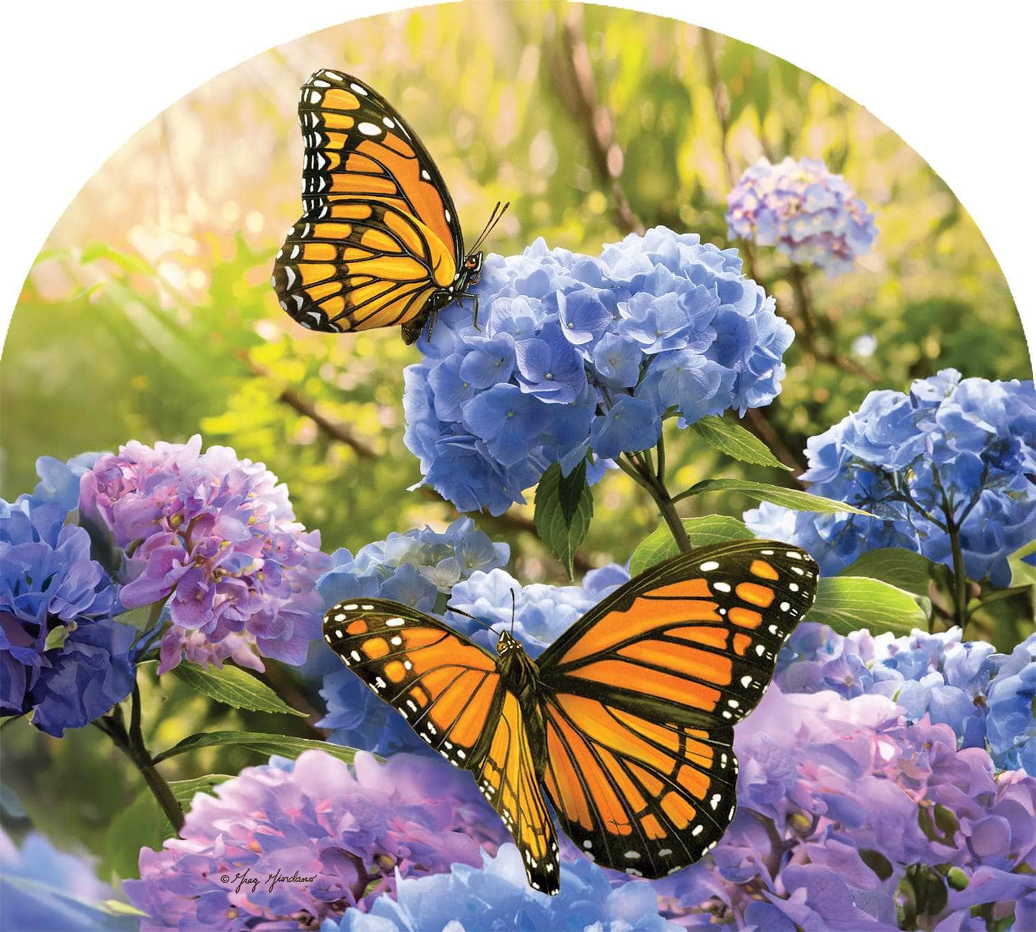 Monarch Hydrangeas-Arbor Mate panel featuring hydrangeas and a butterfly, crafted from durable PVC to bring serene beauty and charm to your outdoor decor.