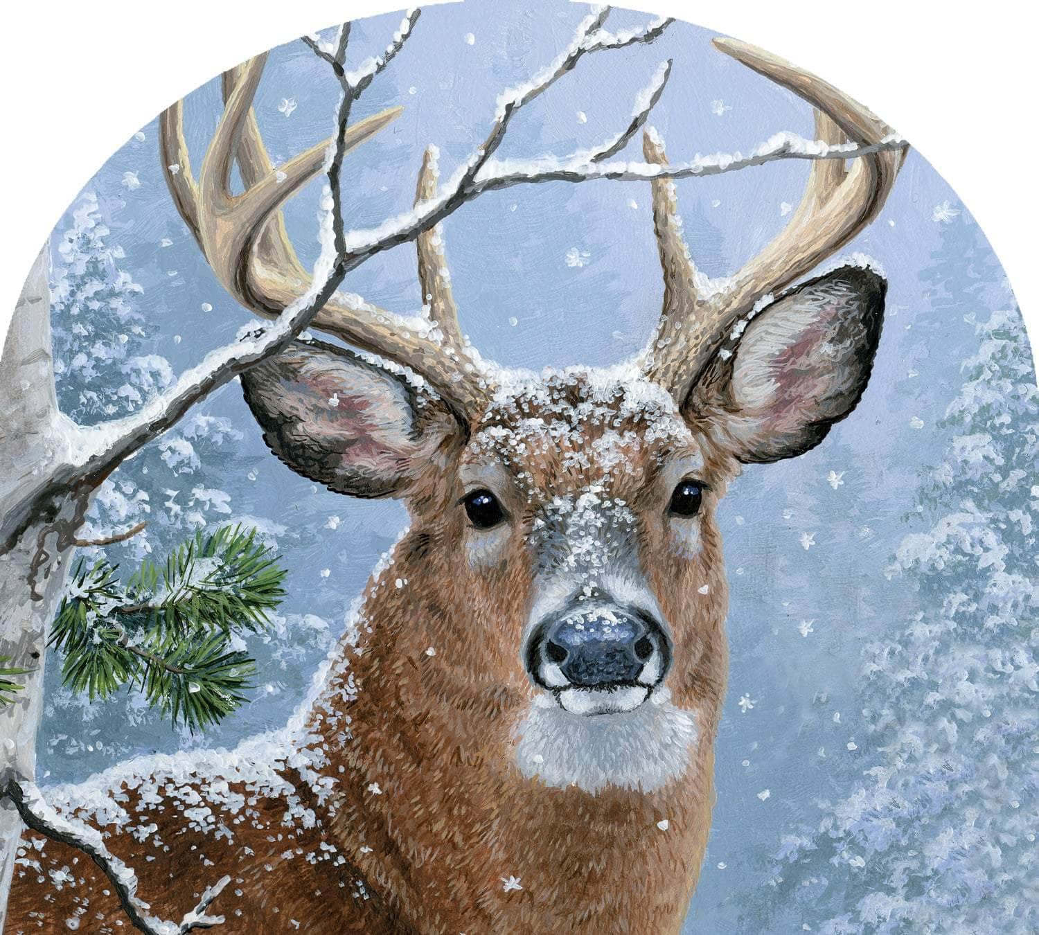 Winter Whitetail-Arbor Mate panel featuring a whitetail deer in the snow, crafted from durable PVC to bring winter beauty and serenity to your outdoor decor.
